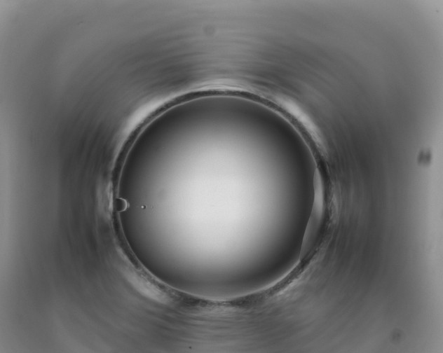 X0000092091372200709191237
