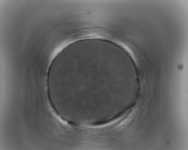 X0000092091373200709191237