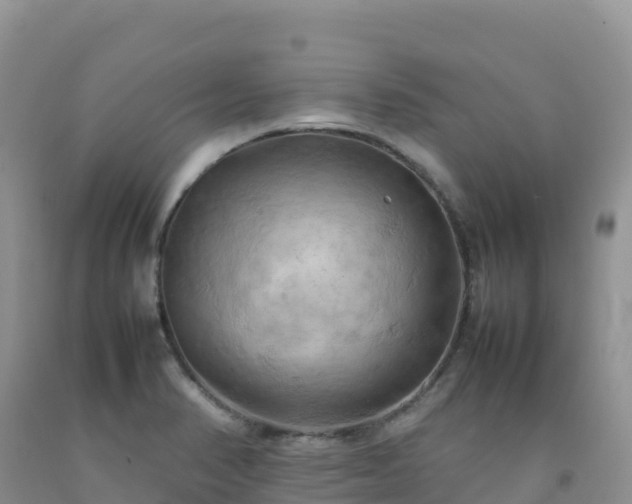 X0000092091374200709191237