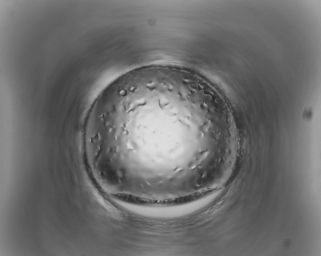 X0000092091375200709191237