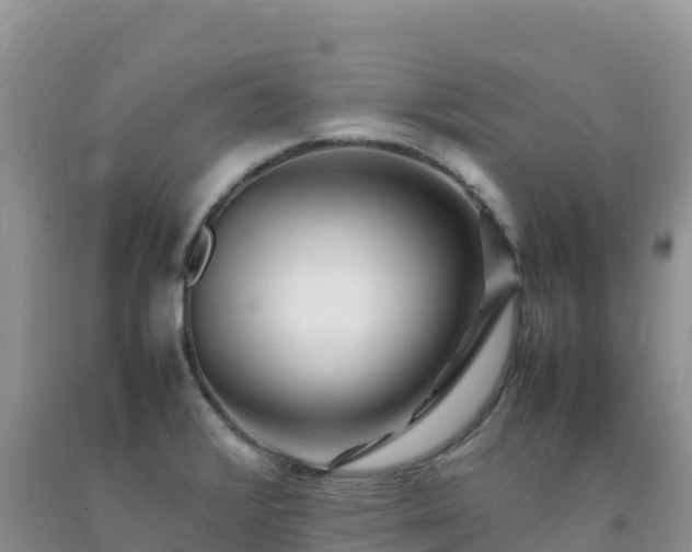 X0000092091376200709191237