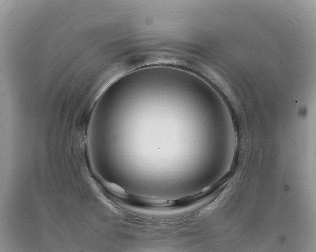 X0000092091377200709191236