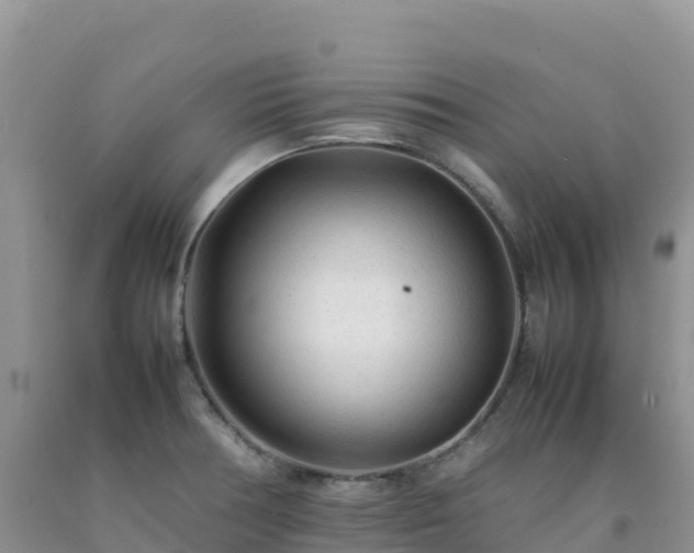 X0000092091378200709191236