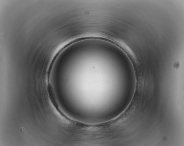X0000092091380200709191236