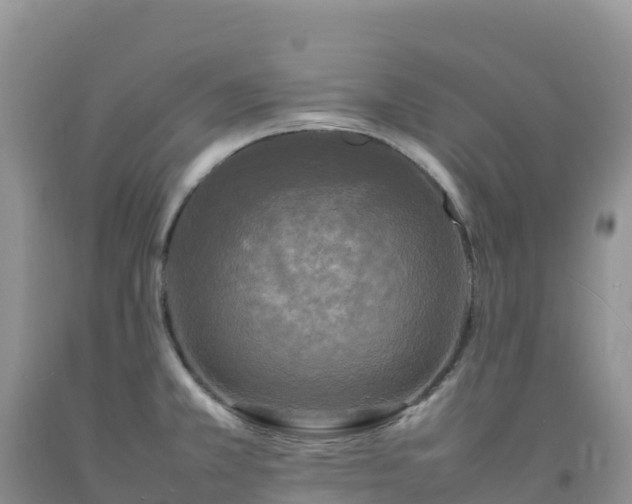 X0000092091381200709191236