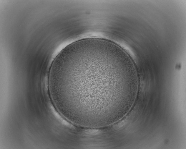X0000092091382200709191236