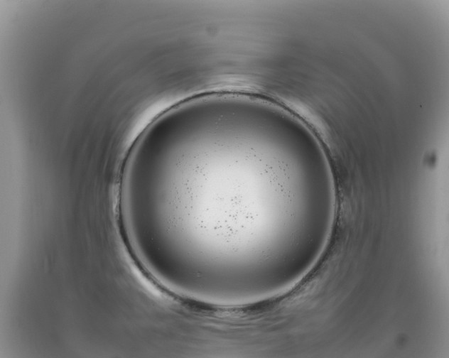 X0000092091383200709191236