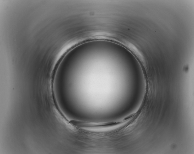 X0000092091384200709191236