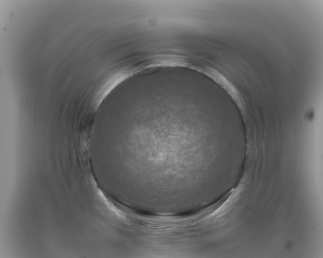 X0000092091385200709191236