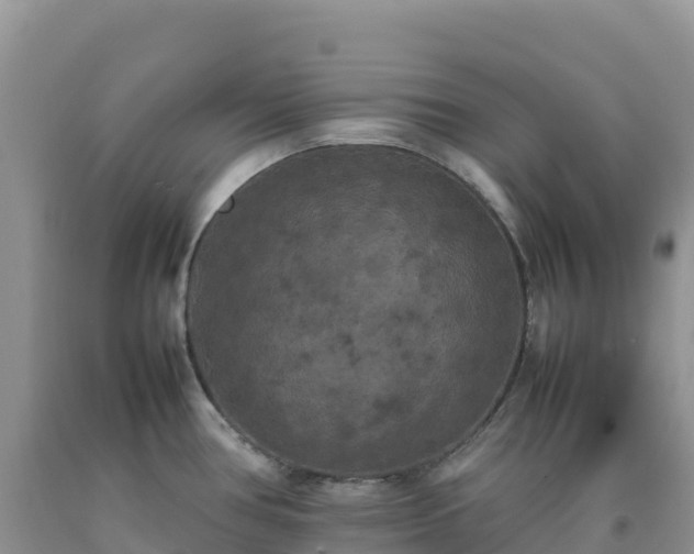 X0000092091386200709191236