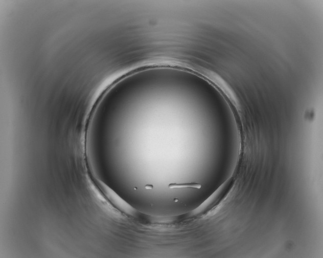 X0000092091388200709191236