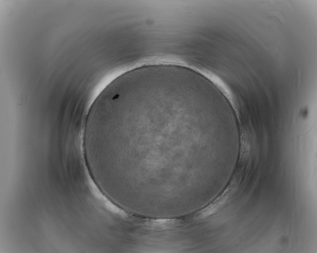 X0000092091390200709191236