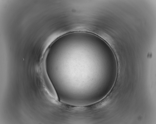 X0000092091392200709191236