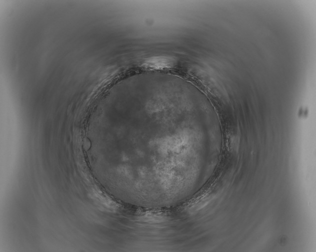X0000092091393200709191236