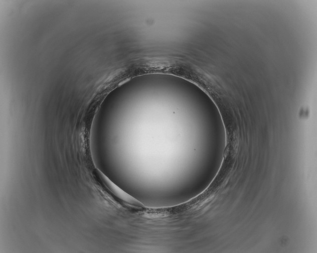 X0000092091394200709191236