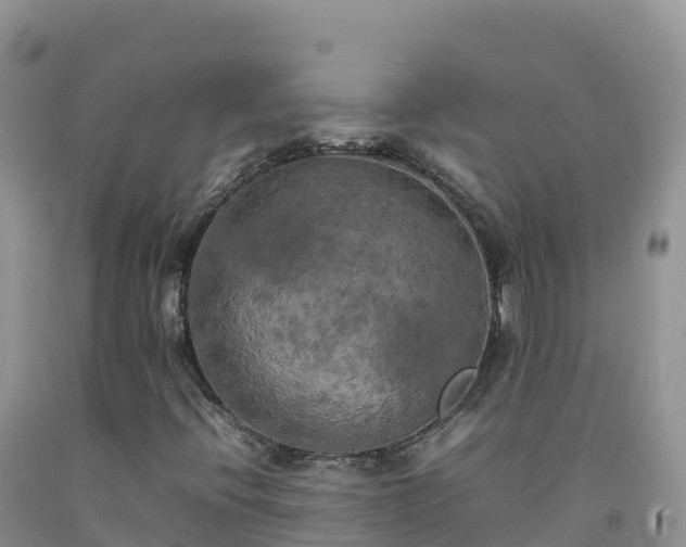 X0000092091396200709191236