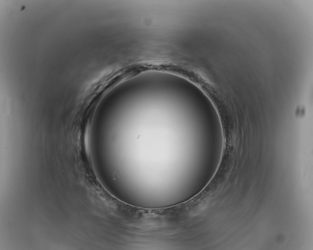 X0000092091398200709191236