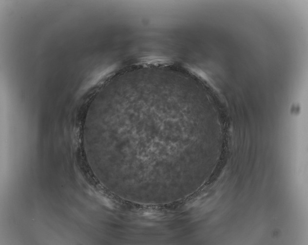 X0000092091399200709191236