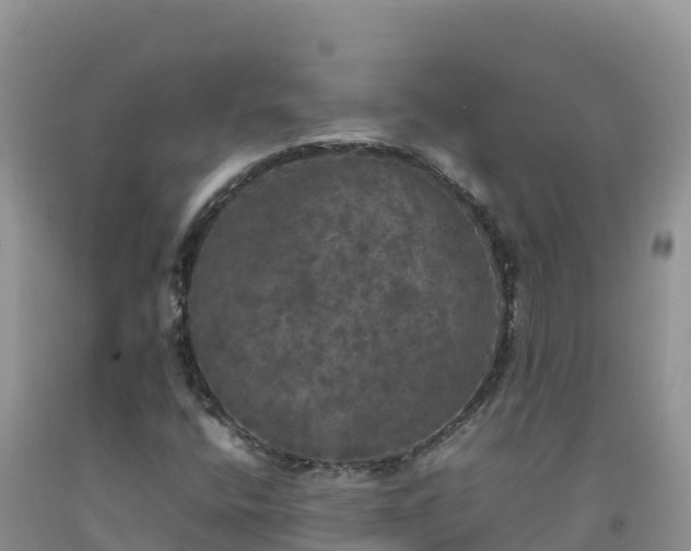 X0000092091400200709191236