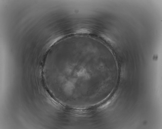 X0000092091401200709191236
