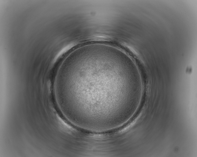 X0000092091402200709191236