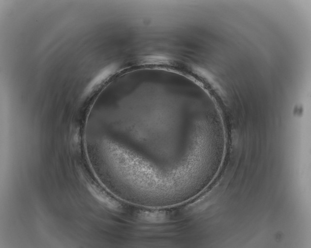 X0000092091403200709191236