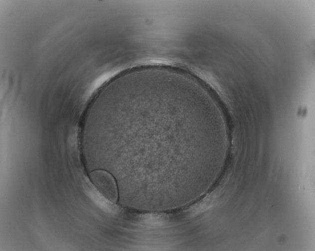X0000092091404200709191236