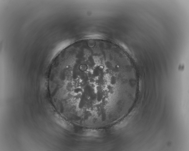 X0000092091405200709191236