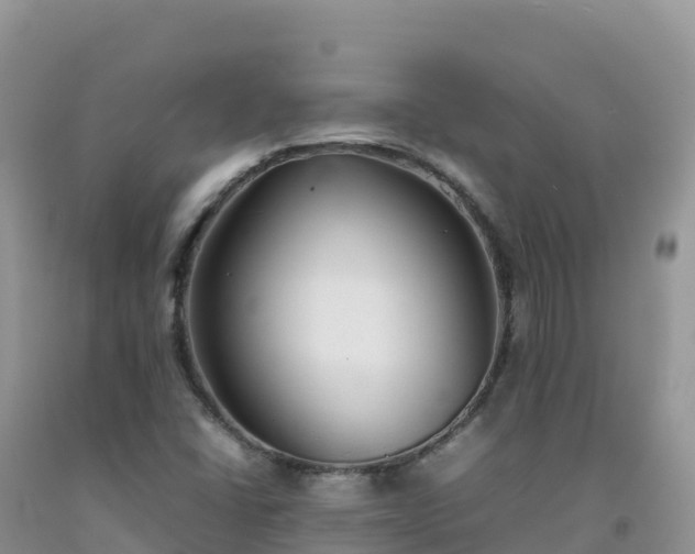 X0000092091406200709191236