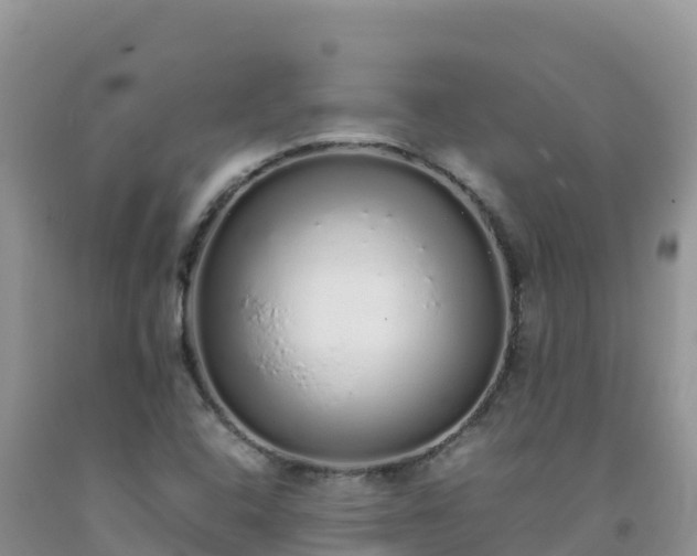 X0000092091408200709191236