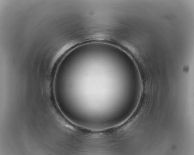 X0000092091410200709191236