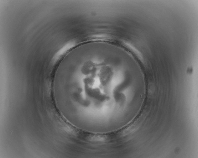 X0000092091411200709191236