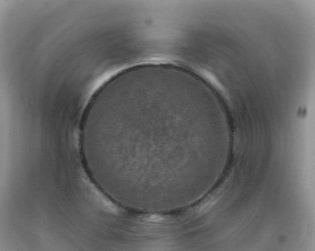 X0000092091412200709191236
