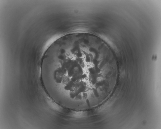 X0000092091413200709191236