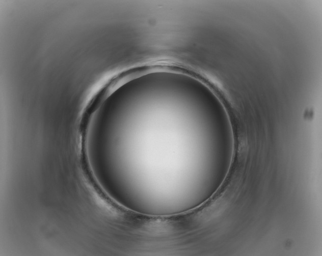 X0000092091414200709191236
