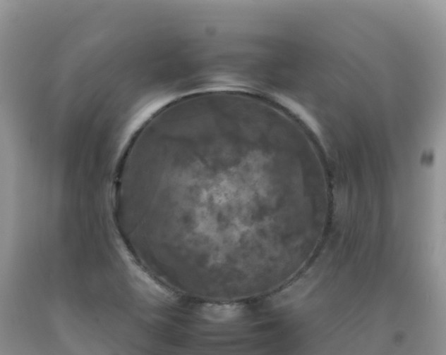 X0000092091415200709191236