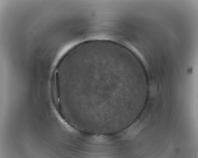 X0000092091416200709191236