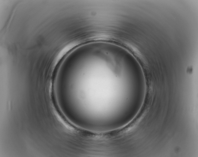 X0000092091418200709191236