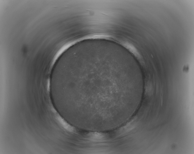 X0000092091420200709191236