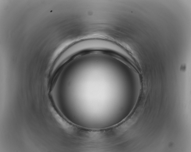 X0000092091422200709191236