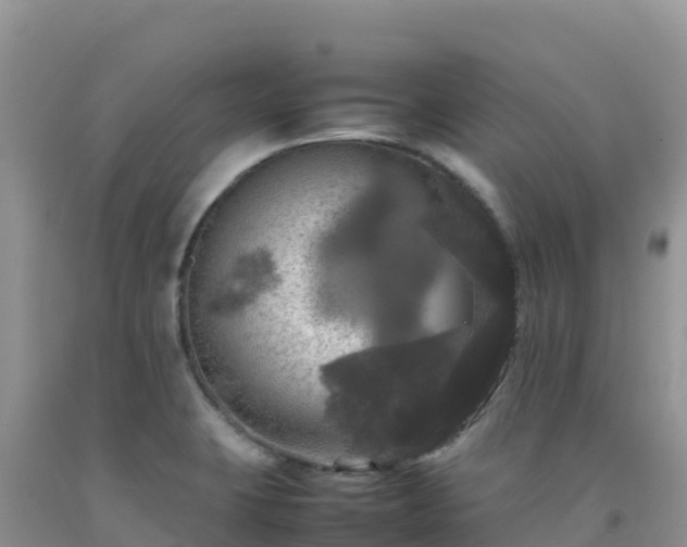X0000092091423200709191236