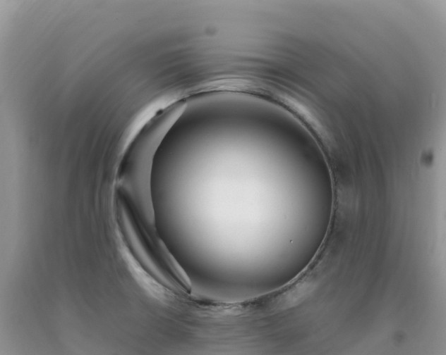 X0000092091426200709191236