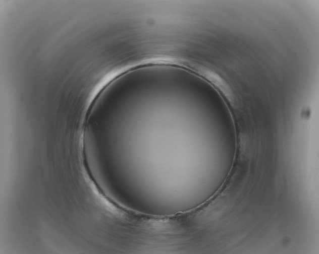 X0000092091428200709191236