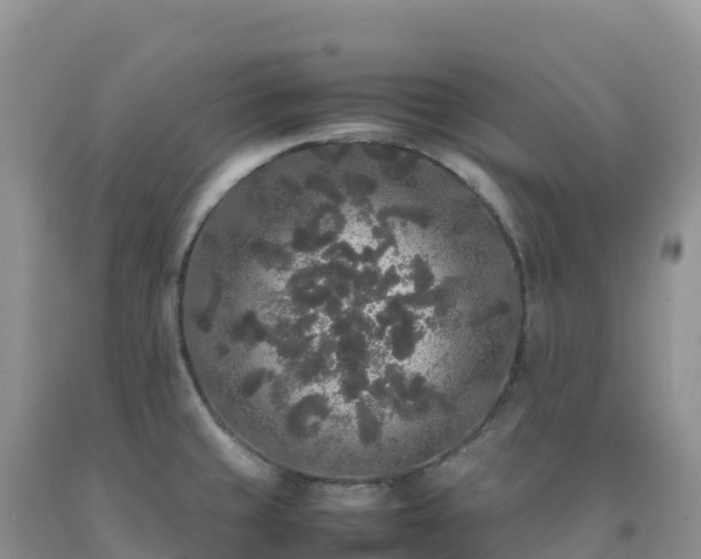 X0000092091429200709191236