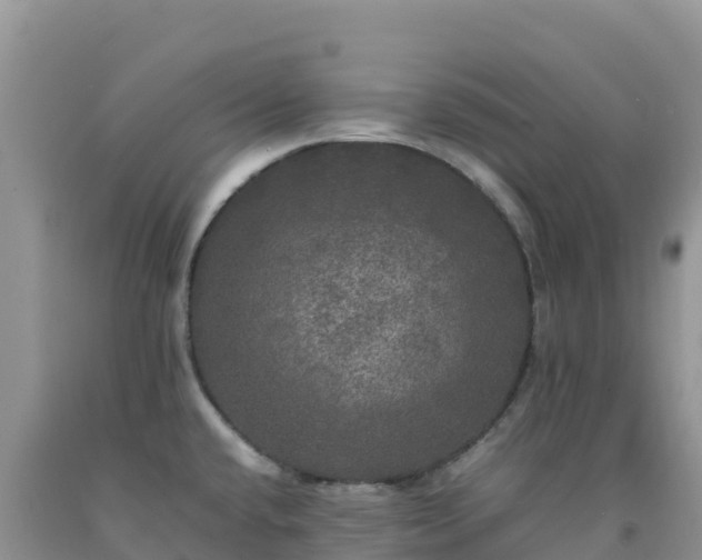 X0000092091432200709191236
