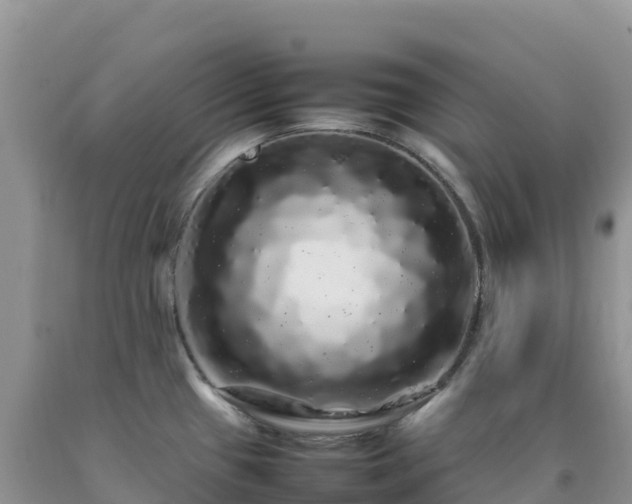 X0000092091433200709191236