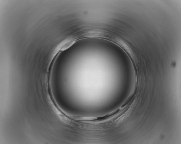 X0000092091434200709191236