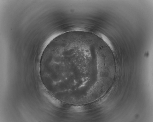 X0000092091435200709191236