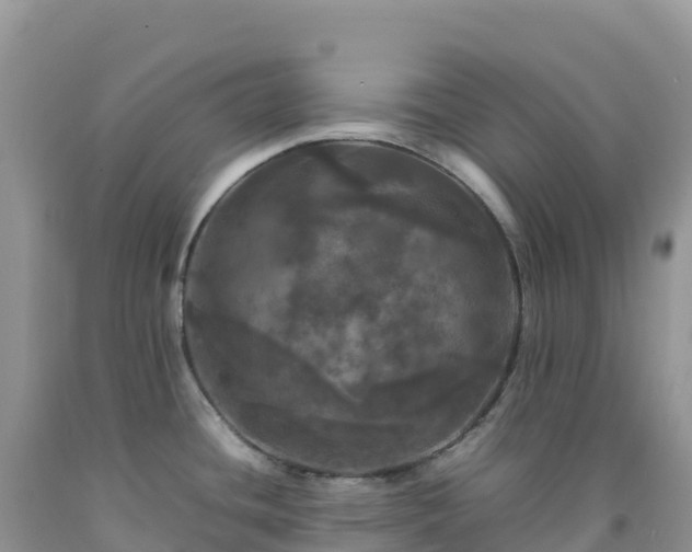 X0000092091436200709191236