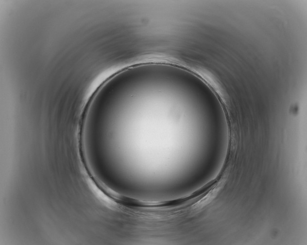 X0000092091438200709191236